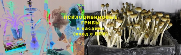 гашиш Белокуриха