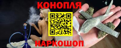 прущие грибы Можайск