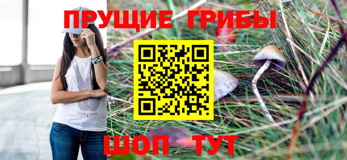 Валуйки  Галлюциногенные грибы MAGIC MUSHROOMS  Вход с VPN 